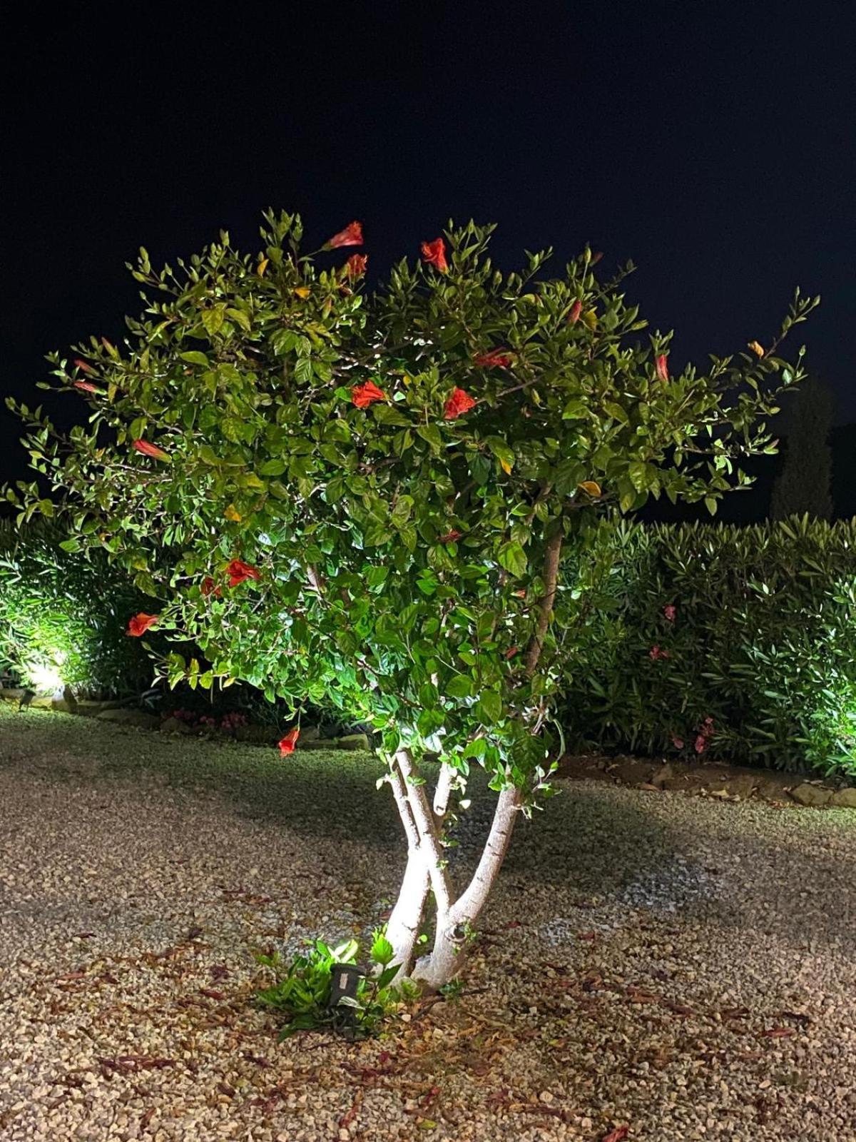 Finca Angelita 托罗克斯科斯塔 外观 照片