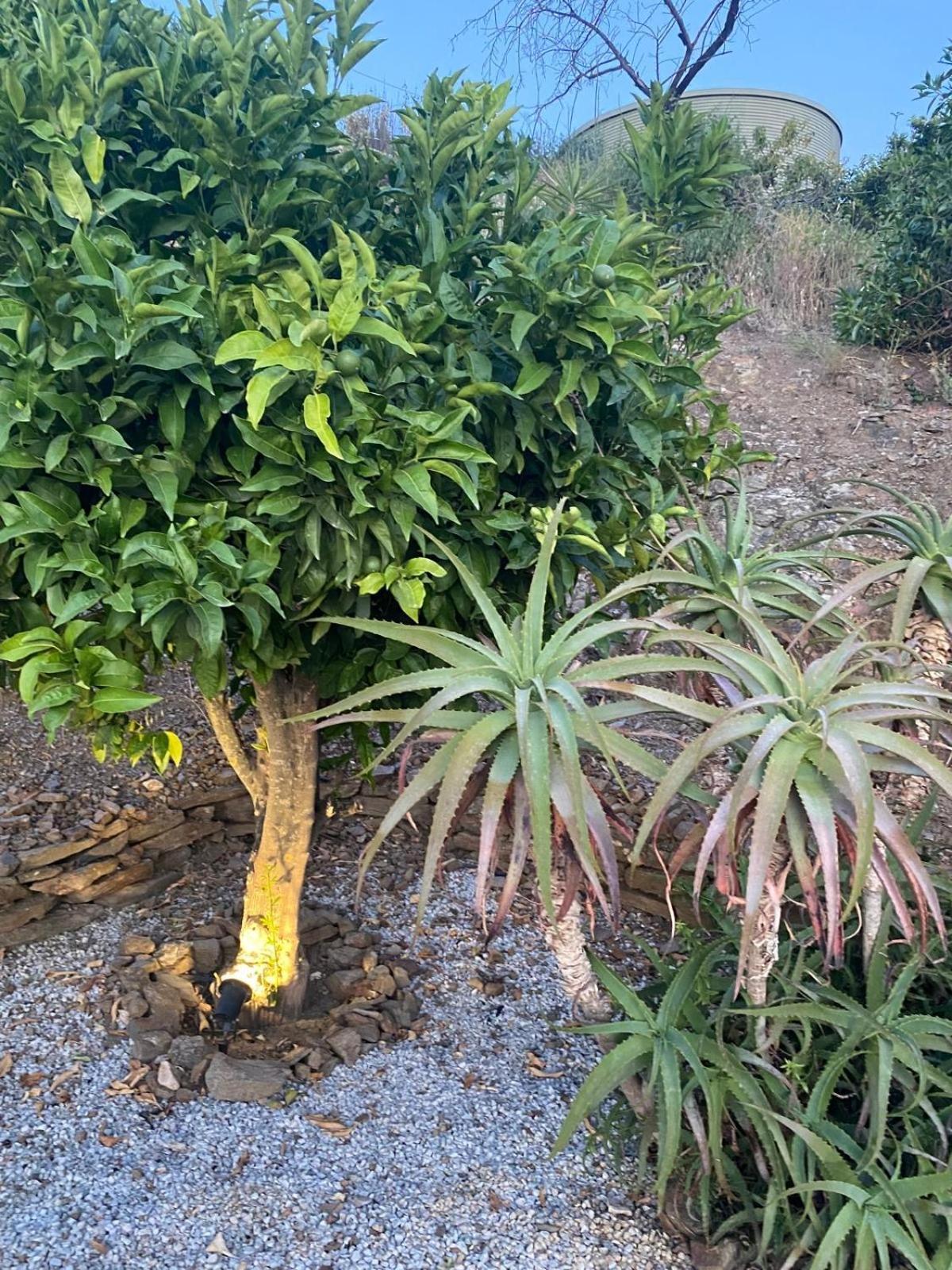 Finca Angelita 托罗克斯科斯塔 外观 照片